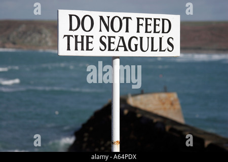 Do not feed the Seagulls - sign at Sennen Cove in Cornwall, south west England Stock Photo