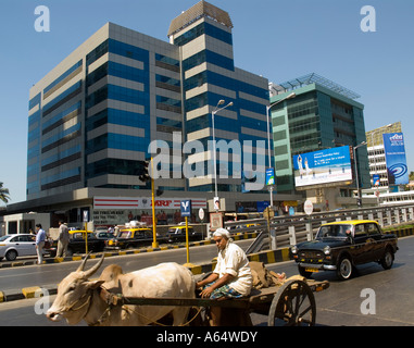 Manual laborer on an ox pulled cart passing modern office developments Mumbai India Stock Photo