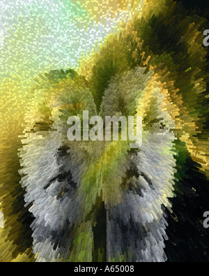 Sculpted face abstracted Stock Photo