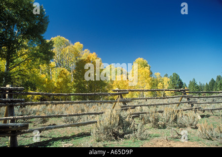 Blanding Utah The fence of a corral and fall colors in Manti La Sal National Forest Stock Photo