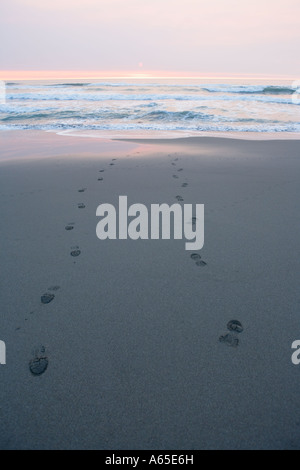 Shoe prints on Pacific Ocean sandy beach at sunset Stock Photo