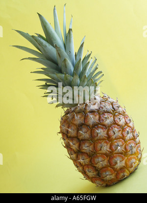 Whole Costa Rican pineapple. Stock Photo