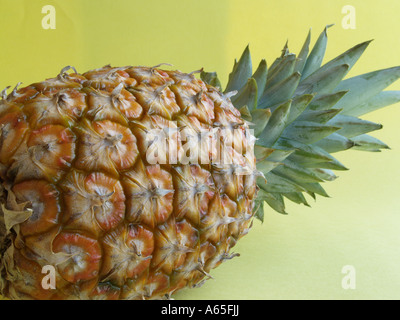 Costa Rican whole pineapple. Stock Photo