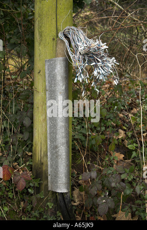 bundle of telephone wires hanging from a telegraph pole Stock Photo