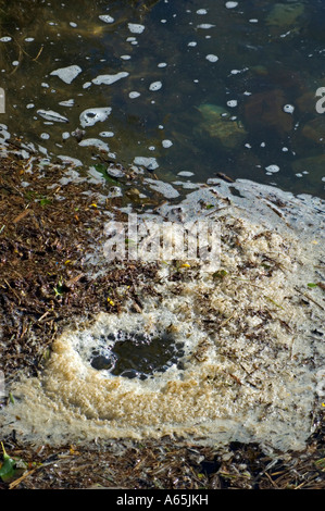 a polluted stream near redruth in cornwall,england Stock Photo