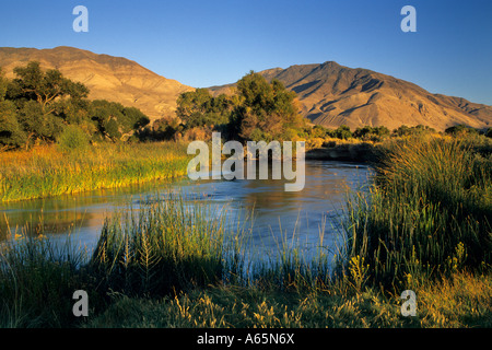 Owens River below Black Mountain, Owens Valley, Eastern Sierra near ...