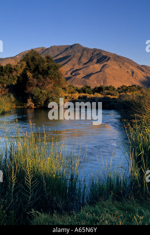 Owens River below Black Mountain, Owens Valley, Eastern Sierra near ...