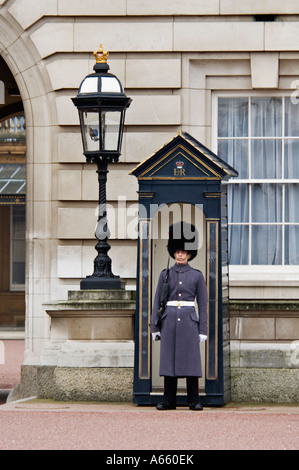 A Sentry of the Queens Guard in Winter Uniform Stationed in the Forecourt of Buckingham Palace London England Stock Photo