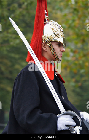 Member of the Queen's Houshould Calvary with Saber London England Stock Photo