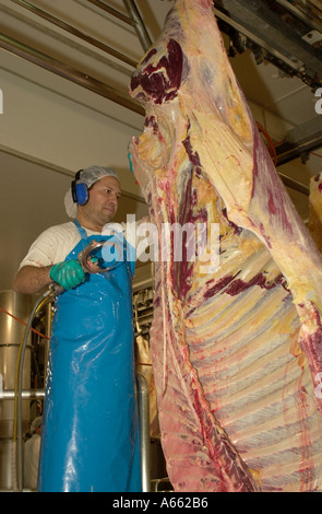 beef at quality control Stock Photo