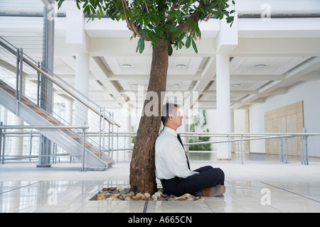 Businessman resting under tree outside office Stock Photo