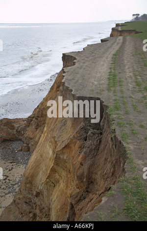 Rapidly eroding soft sandy cliffs in Benacre National Nature Reserve Suffolk England Stock Photo