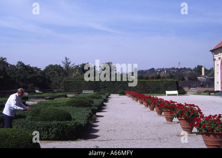 Gardener in the Prague Castle Complex trimming topiary bushes before a line of red flower pots, Prague, Czech Republic Stock Photo