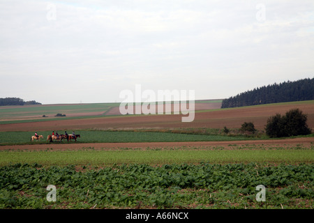 Farm scene and riders with horses in the fields in the Mosel Valley near Cochom;Southern Germnay Stock Photo