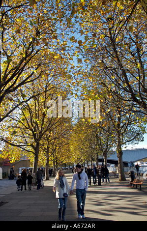 A couple walk along the South Bank of the Thames under the golden leaves of Autumn Stock Photo