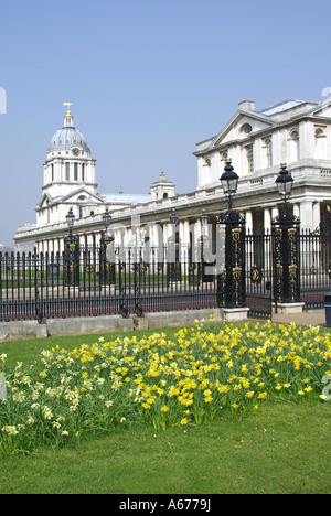 Old Royal Naval College buildings with display of yellow spring flowering daffodil blooms around the perimeter of Greenwich Park London England UK Stock Photo