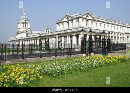 Old Royal Naval College buildings with display of spring flowering yellow daffodils along perimeter of Greenwich Park London England UK Stock Photo
