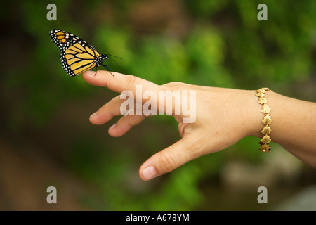 Monarch butterfly on woman's hand