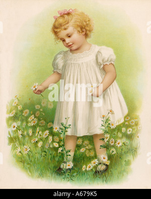 Girl Picks Daisies 1890 Stock Photo