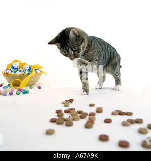kitten with easter eggs licking paw Stock Photo