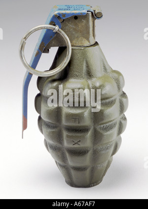 Pineapple Grenade Stock Photo