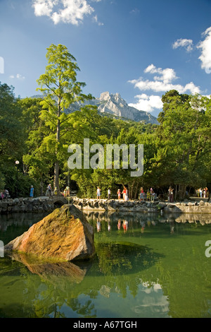 Park with old Trees at the Voroncov Palace, Jalta, Crimea, Ukraine, South-Easteurope, Europe, Stock Photo