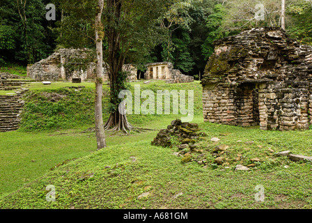 Maya site Yaxchilan, Selva Lacandona, Lakandonian Forest, Chiapas ...