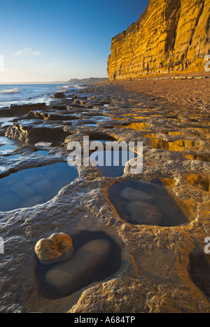 Golden afternoon sunshine illuminates Burton Cliff near Burton Bradstock Stock Photo