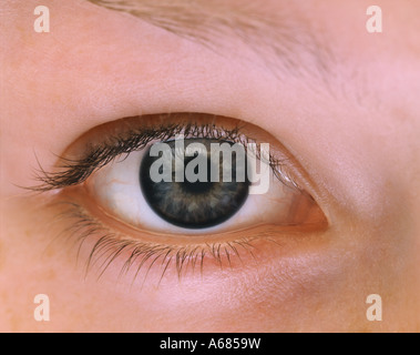 Eye, Close up of Female Eye.pupil,spot,see,sight.cornea. Stock Photo