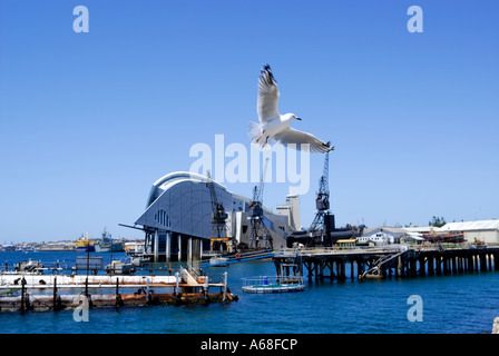 Seagull flies across view of Western Australian Maritime Museum. Fremantle, Western Australia Stock Photo