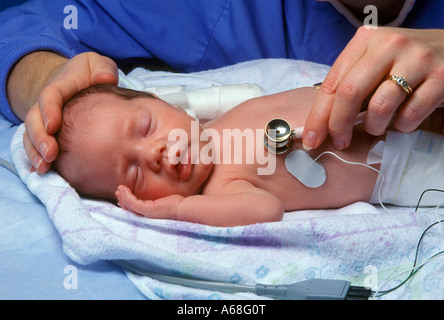 Nurse attends premature infant in neonatal intensive care unit NICU Stock Photo