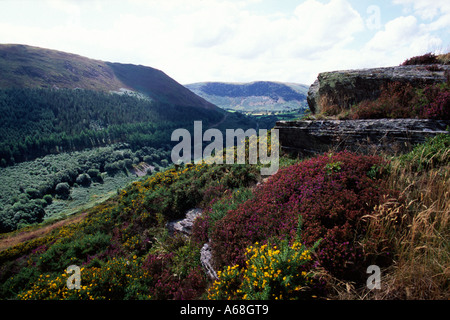 Heather moorland and the Marteg Valley on Gilfach Farm Nature Reserve. Near Rhayader, Mid Wales, UK. Stock Photo