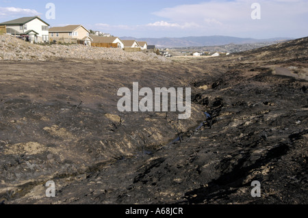 Wildfire burn area near Reno NV Stock Photo