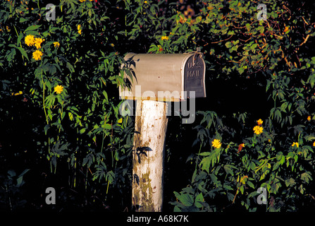 Rural mailbox Stock Photo