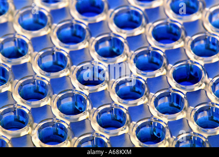 Research tray with blue liquid Stock Photo
