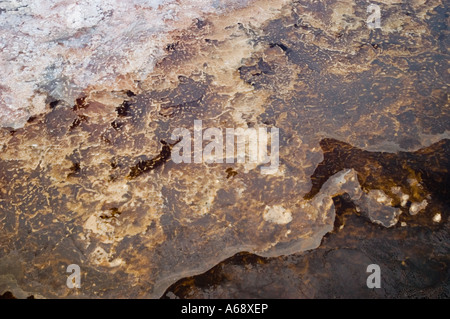 Aerial view of salt crusts on the edge of open water (lower right corner), Lake Natron, Tanzania Stock Photo