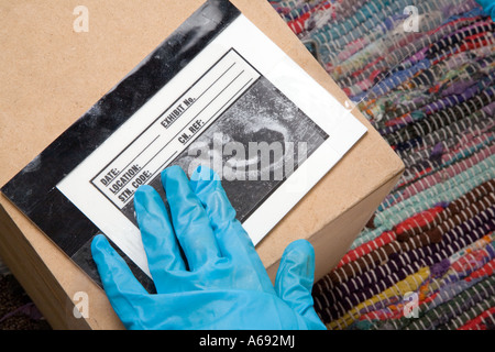 Crime scene officer transferring ear print to evidence caption board Stock Photo