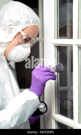 Forensic officer dusting window for prints Stock Photo