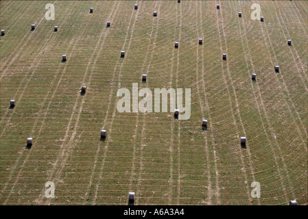 Aerial view of straw bales in a harvested field with a green strip of ...