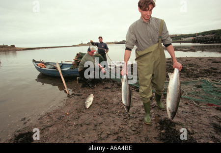 Salmon netting on English side of River Tweed at Berwick Stock Photo