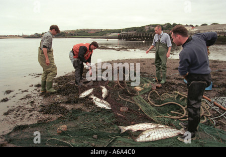 Salmon netting on English side of River Tweed at Berwick Stock Photo