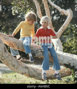 Small boy and girl sitting in  tree Stock Photo