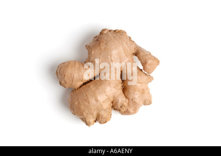 Fresh Root Ginger on white background Stock Photo
