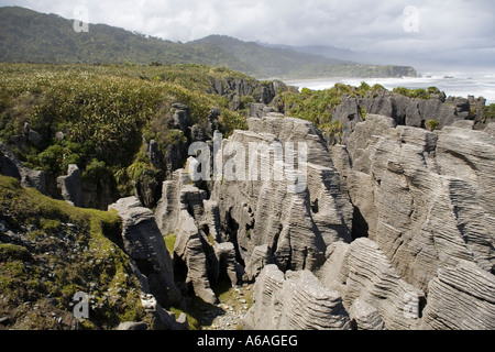 View across Pancake Rocks, New Zealand Stock Photo - Alamy
