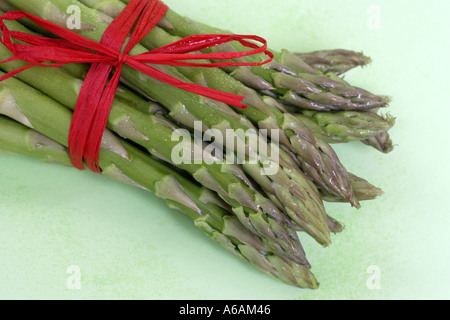 Bunch of fresh asparagus tips tied with red raffia. Stock Photo
