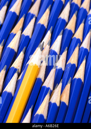 Objects Blue lead pencils still life concept ideas image Stand out from the crowd Be different Don't conform Make a point Point of the matter etc Stock Photo