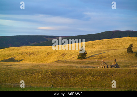 Tomatin scotland view of the fields at sunset with derelict house Stock Photo