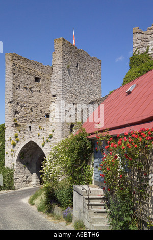 Walls and Gate of the Town of Visby Gotland Sweden Stock Photo