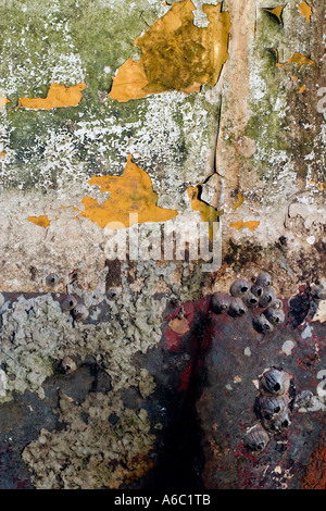 flaking paint and barnacles on hull of old boat Stock Photo