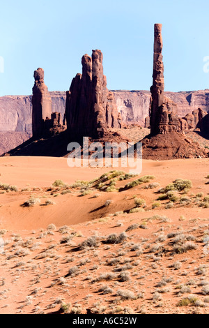 Totem pole like rock formation in Yei Bi Chei area in the Valley of the Gods Utah located near Mexican Hat Stock Photo